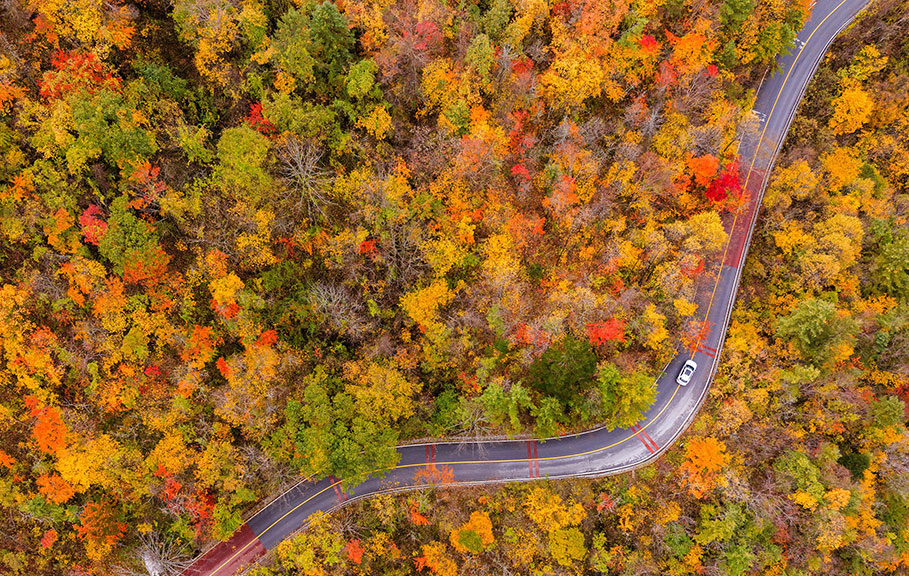 �������r�ܣ����ֱMȾ �ﾰ�箋